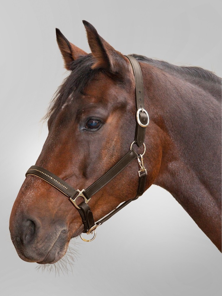 Nahast päitsed Diamond Star