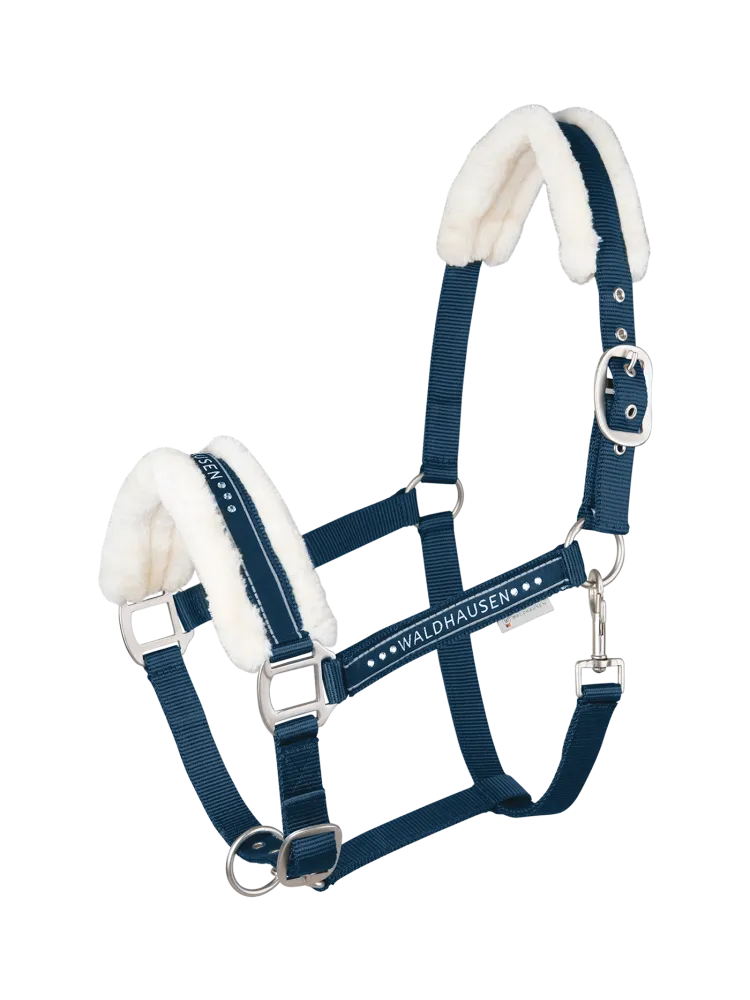Päitsed Elegant Waldhausen