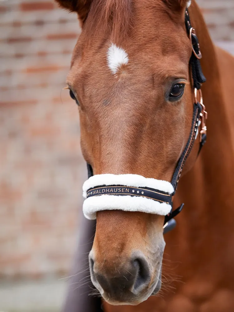 Päitsed Elegant Waldhausen