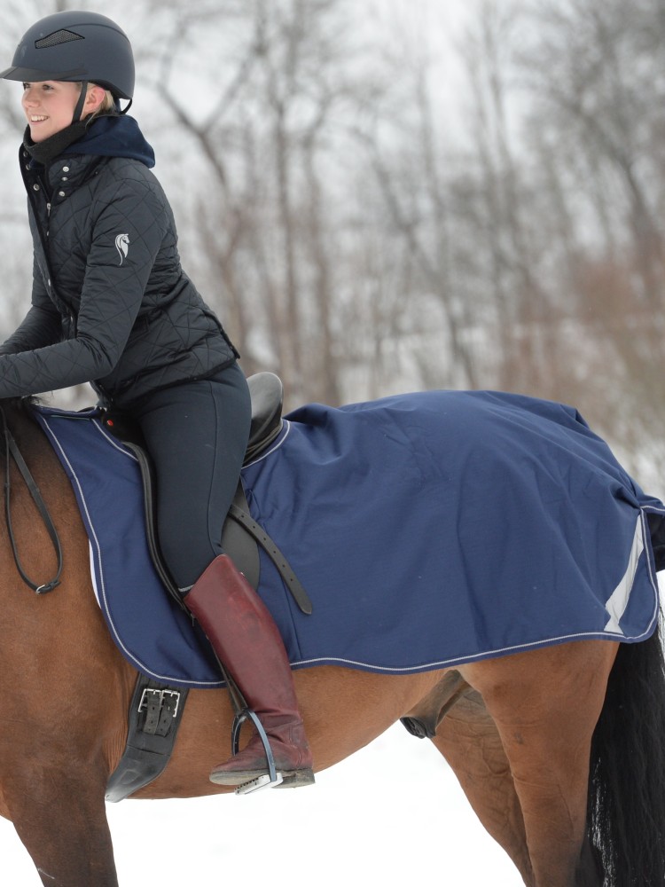 Zirgu sega treniņiem Riding Bucas