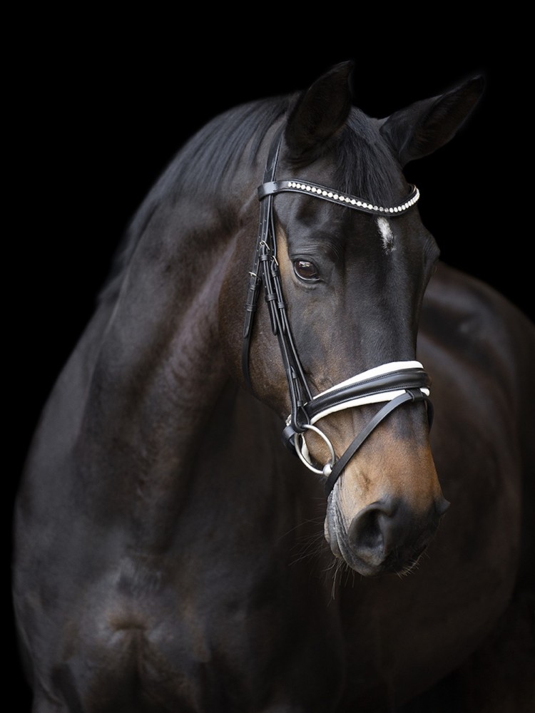 Iemaukti Fria Imperial Riding