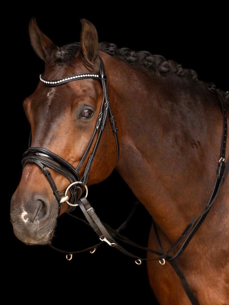 Thiedemann groži Core Imperial Riding
