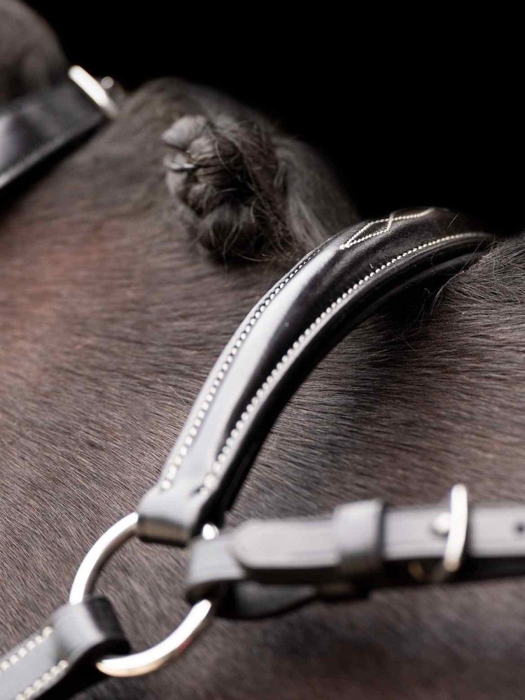 Martingāls Legacy HV Polo
