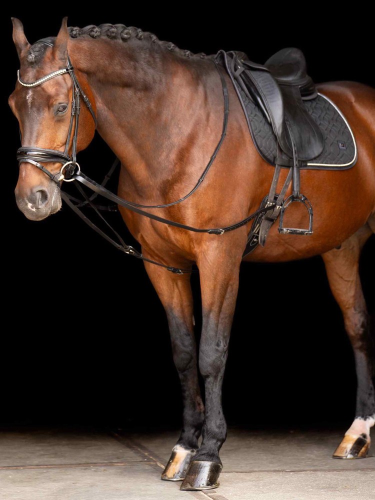 Slīdošie groži Core Imperial Riding