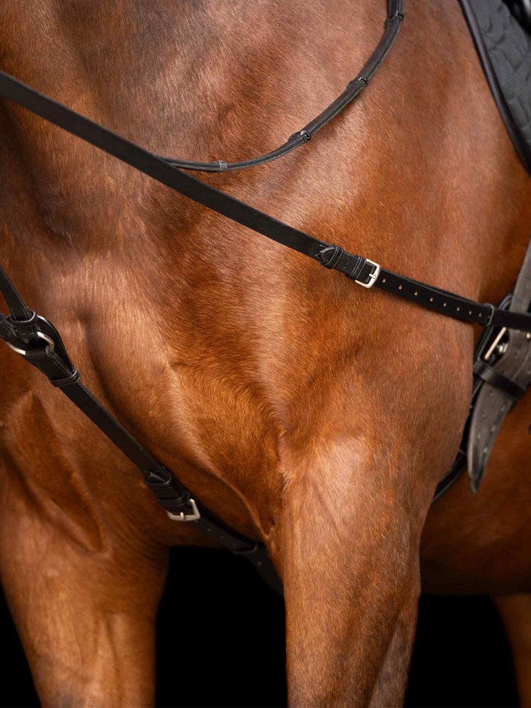 Slīdošie groži Core Imperial Riding