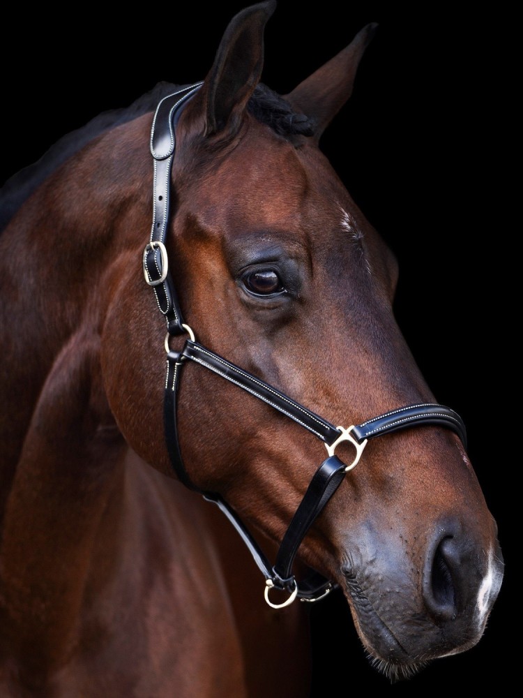Ādas apauši Legacy HV Polo