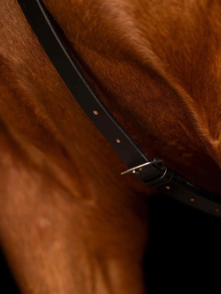 Martingals Core Imperial Riding
