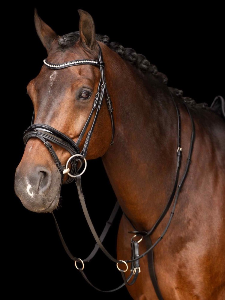 Martingals Core Imperial Riding
