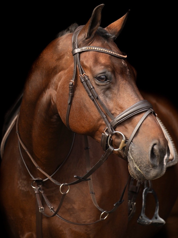 Martingals Core Imperial Riding