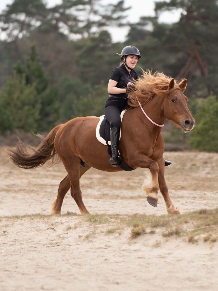 Kordeo Free Ride Imperial Riding