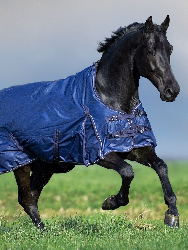 Zirgu āra sega Super-dry 200g 600D Imperial Riding