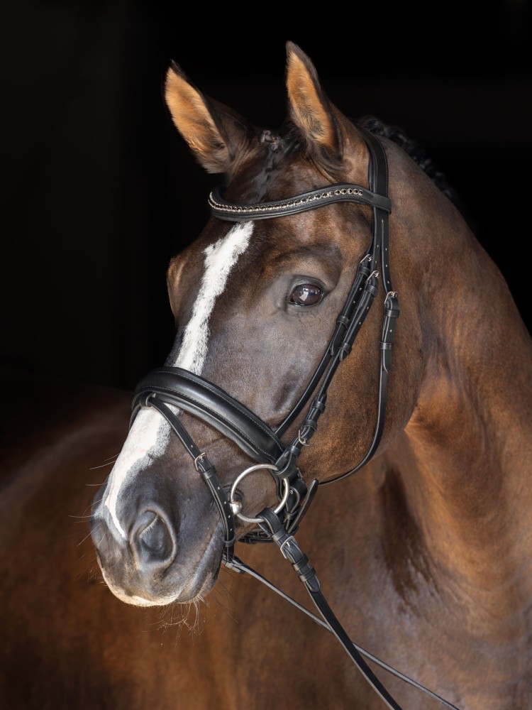 Iemaukti Swedish Covalliero