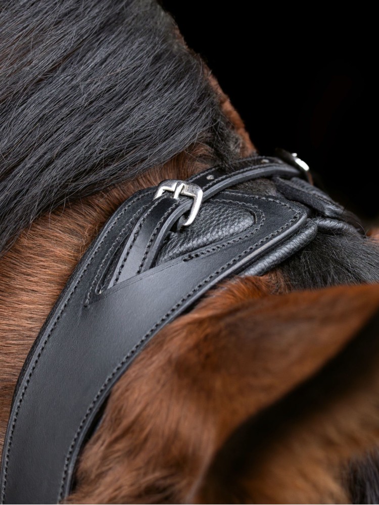 Iemaukti Anatomic Covalliero