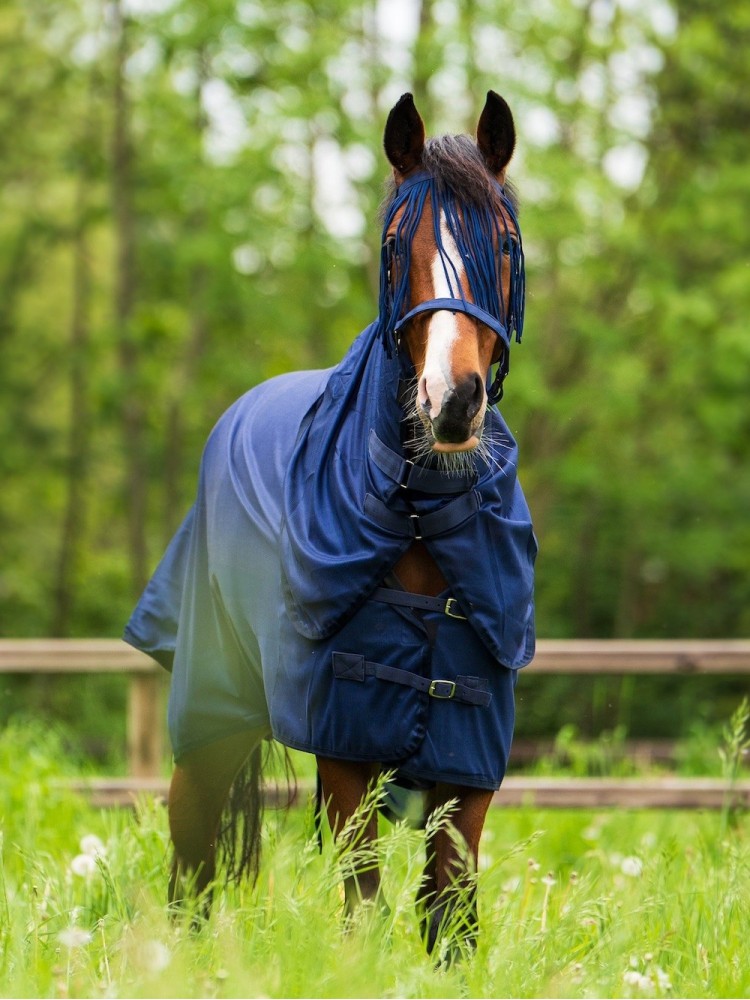 Kukaiņu sega Reese Imperial Riding