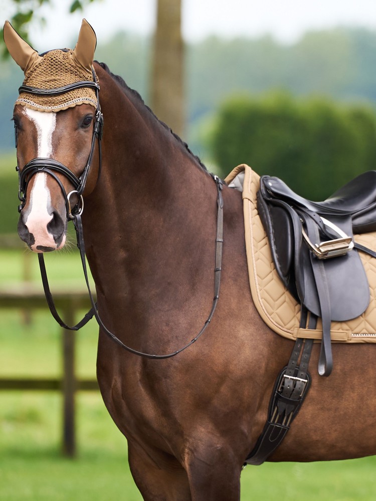 Sviedrene Classic DR HV Polo