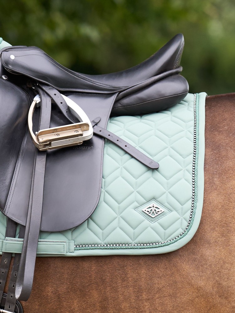 Sviedrene Classic DR HV Polo