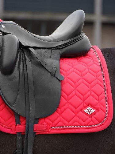 Sviedrene Classic DR HV Polo
