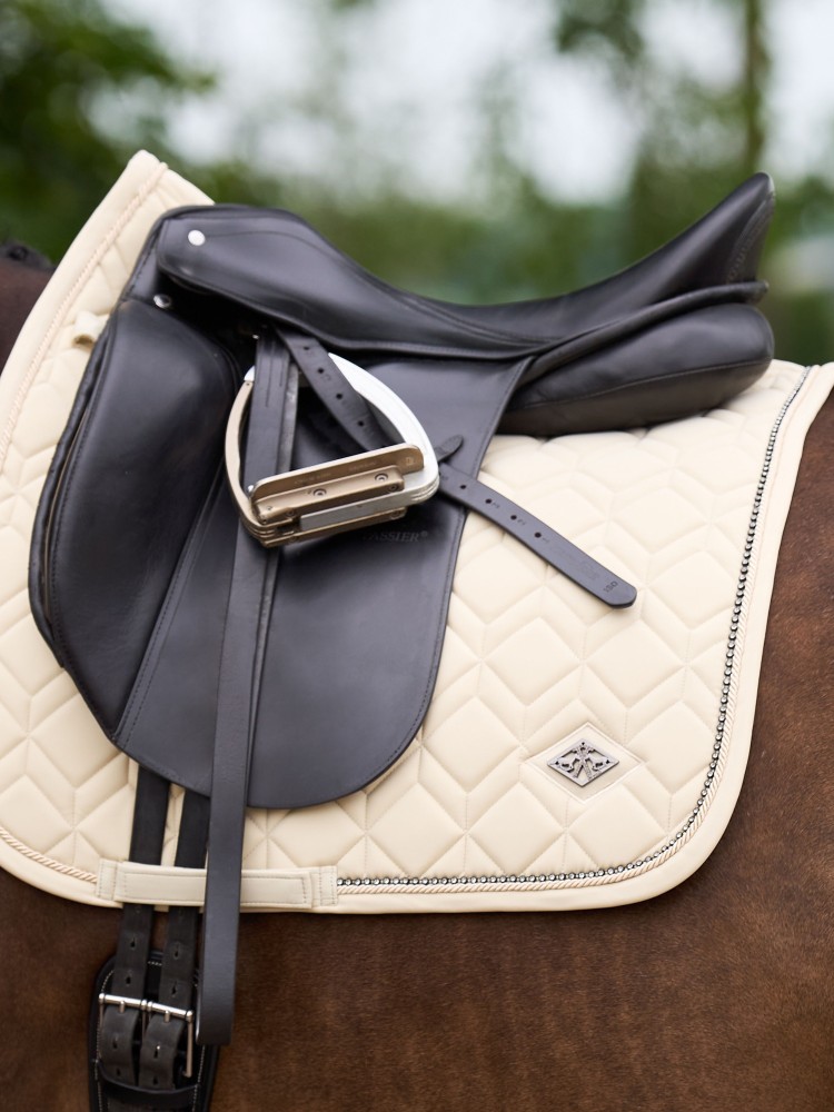 Sviedrene Classic DR HV Polo