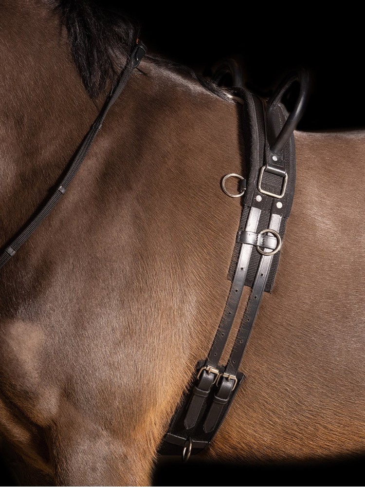 Voltizēšanas josta Vidal Imperial Riding