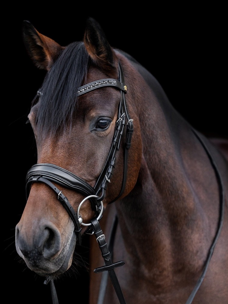 Iemaukti Blackshine Patent Waldhausen S-Line