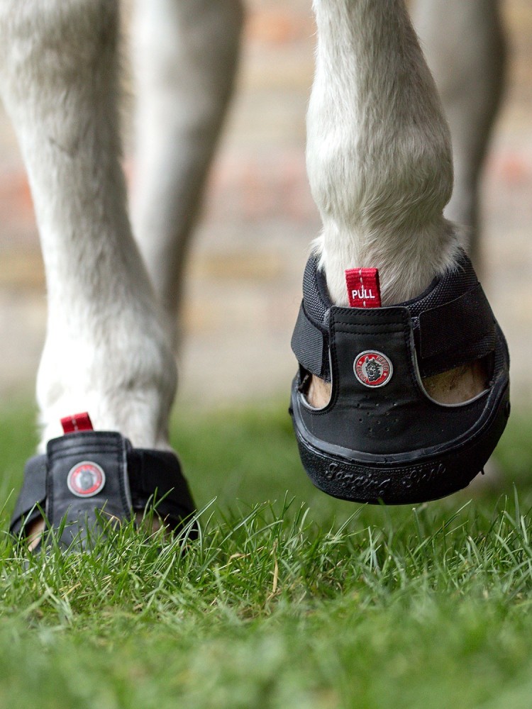 Zirgu nagu apavi Trekking Equine Fusion®