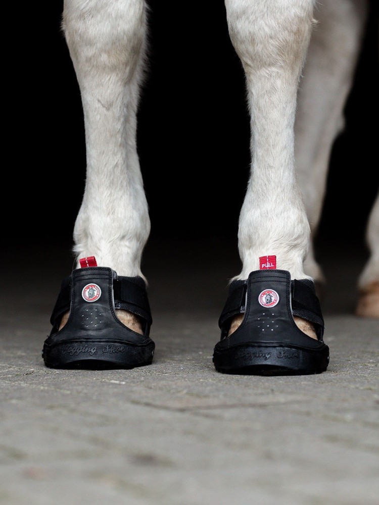 Zirgu nagu apavi Trekking Equine Fusion®