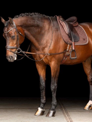 Ādas sānu groži Core Elastic Imperial Riding