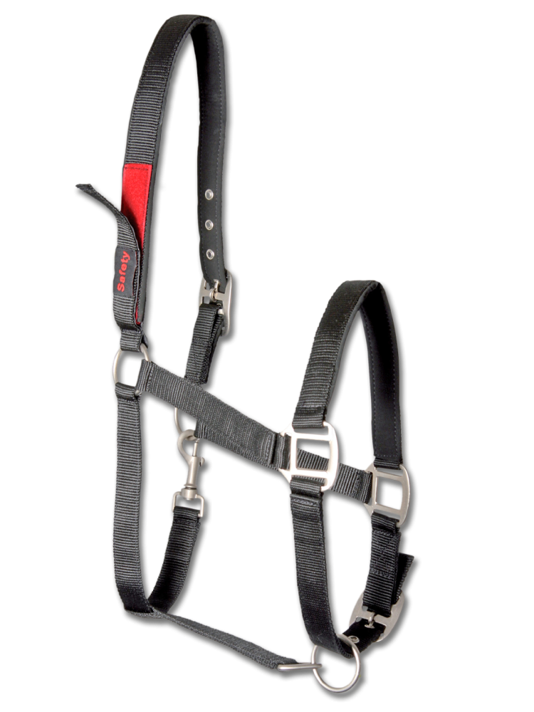 Apauši Safety Waldhausen
