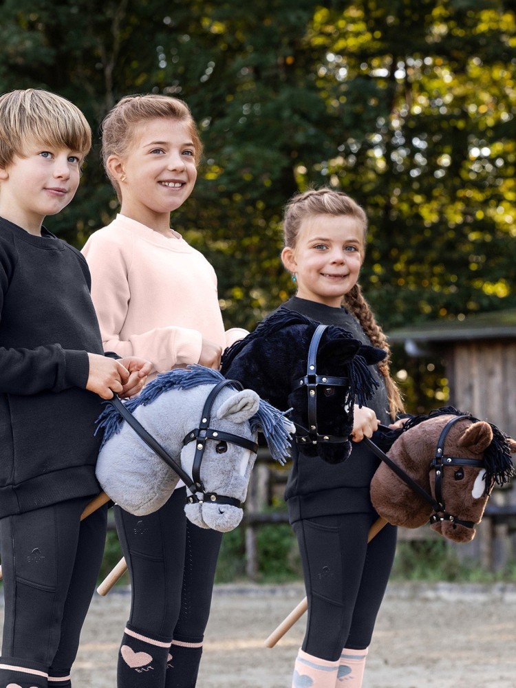 Lecamzirgs uz kāta Hobby horse Waldhausen