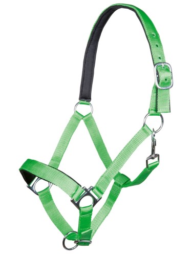 Apauši Stars HKM