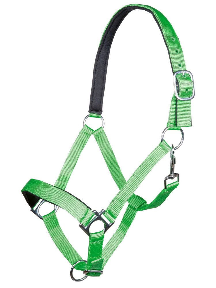 Apauši Stars HKM