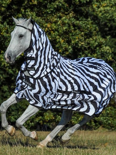 Kukaiņu sega Sweet-Itch Zebra Bucas