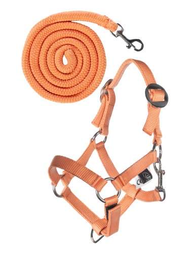 Apaušu un pavadas komplekts Hobby Horsing HKM