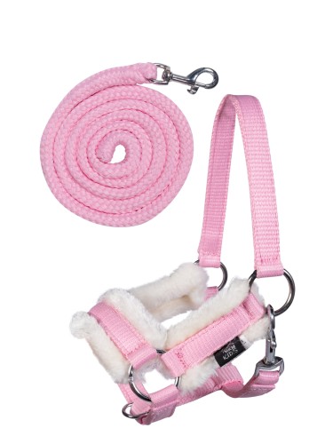 Apaušu un pavadas komplekts Teddy Hobby Horsing HKM