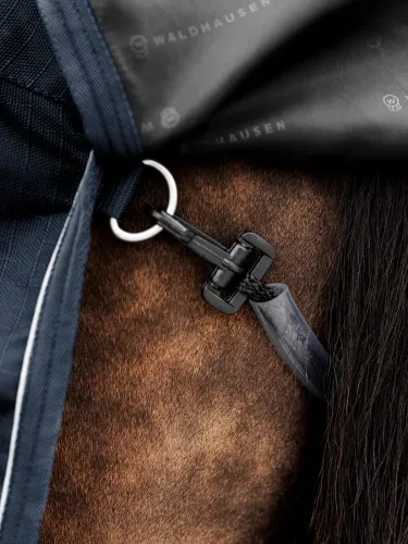 Āra zirgu sega Scandic 50g 1200D Waldhausen