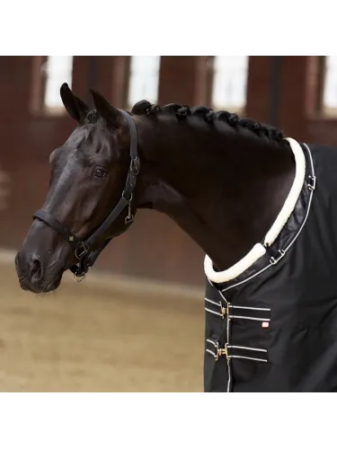 Krūšu aizsargs zirgiem Super-Dry Imperial Riding