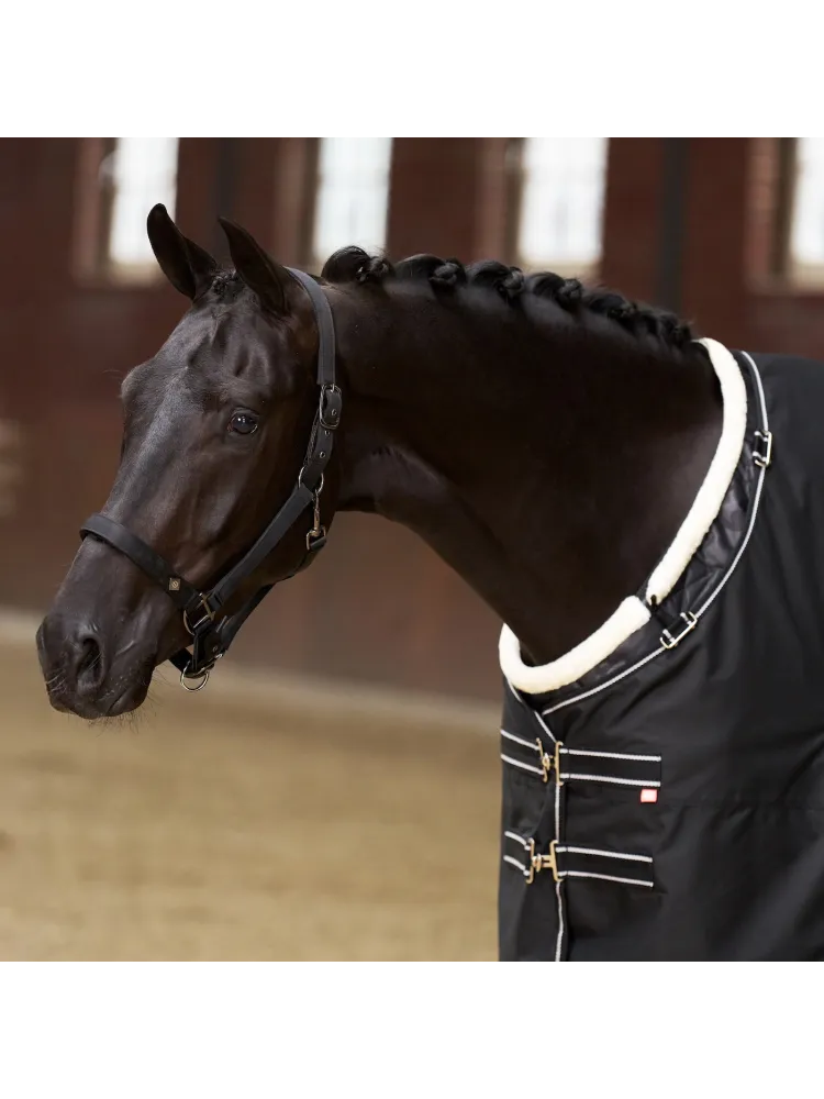 Krūšu aizsargs zirgiem Super-Dry Imperial Riding
