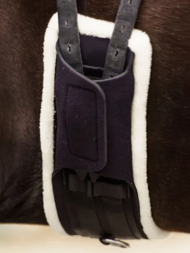 Seglu josta iejādei Comfort Imperial Riding