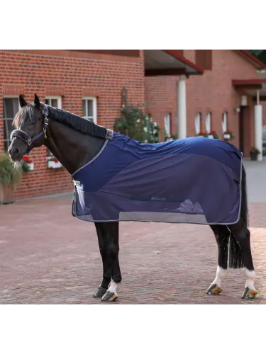 Cooler zirgu sega Show-Line Bucas