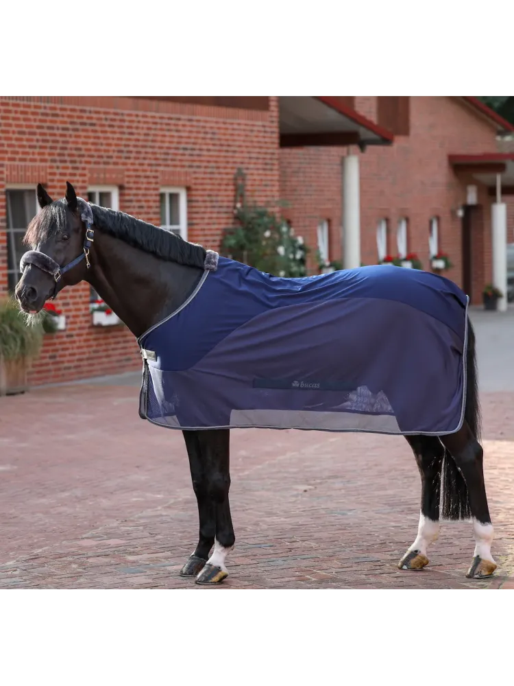 Cooler zirgu sega Show-Line Bucas