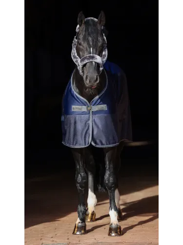 Cooler zirgu sega Show-Line Bucas