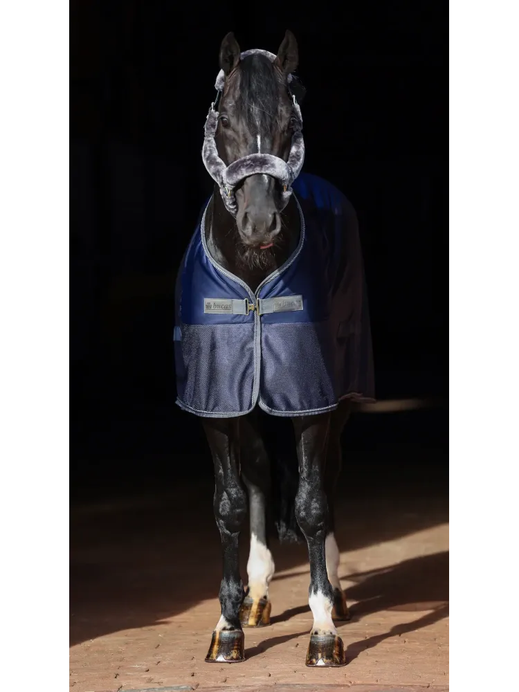 Cooler zirgu sega Show-Line Bucas