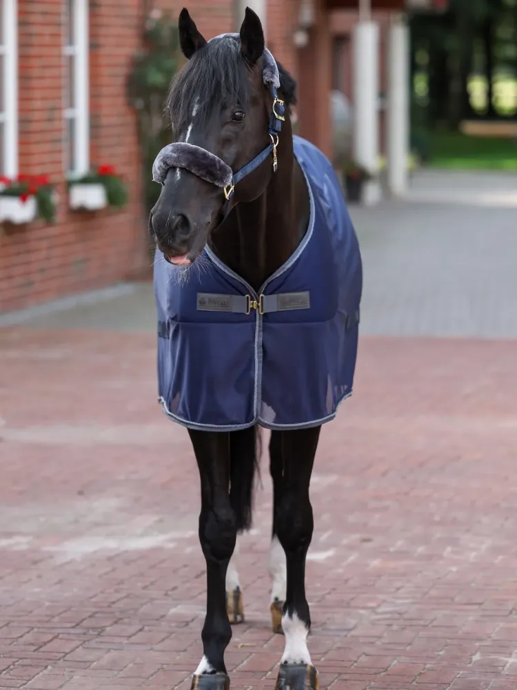 Cooler zirgu sega Show-Line Bucas