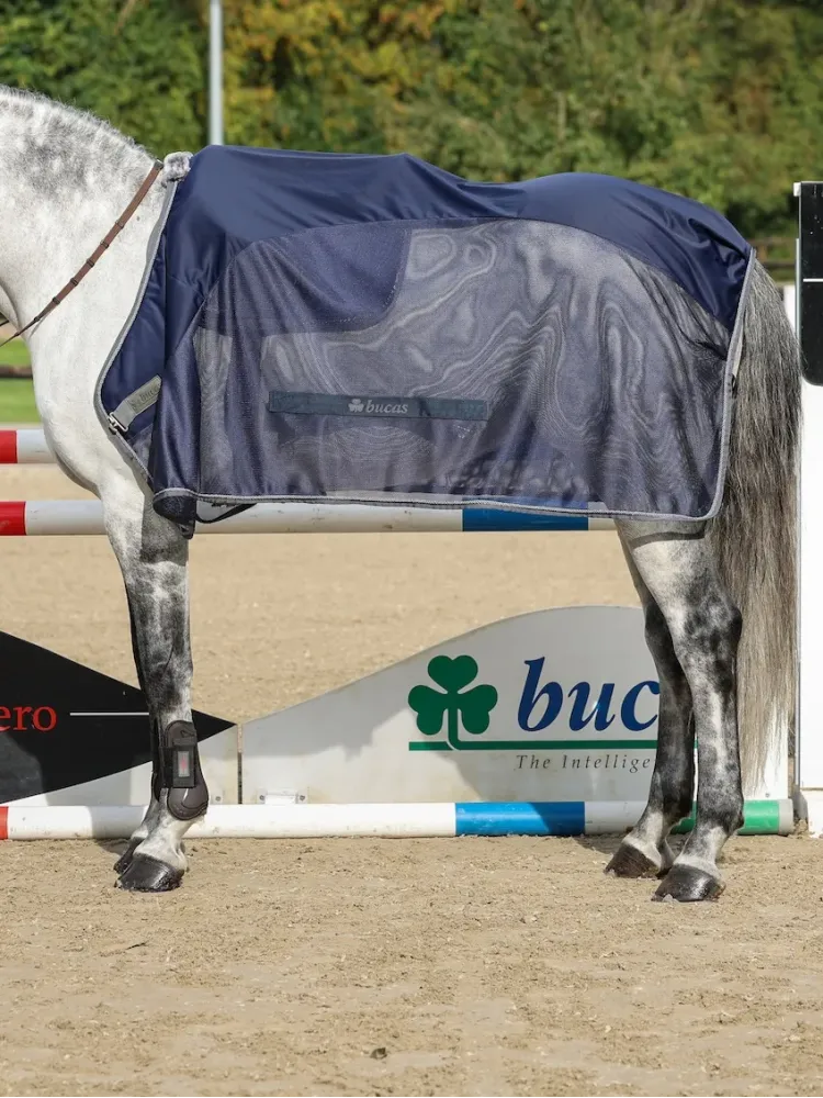 Cooler zirgu sega Show-Line Bucas