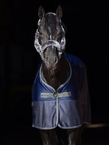 Cooler zirgu sega Show-Line Bucas