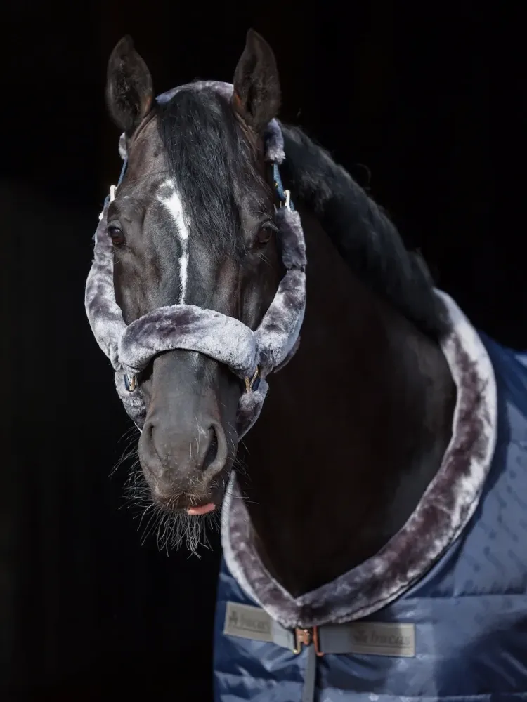 Apauši Show-Line Full Fur Bucas