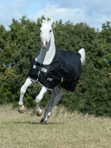 Āra zirgu sega Anniversary Turnout 150g 600D Bucas