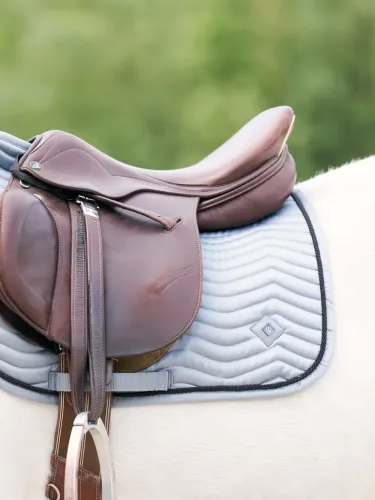 Sviedrene Rebel GP Imperial Riding