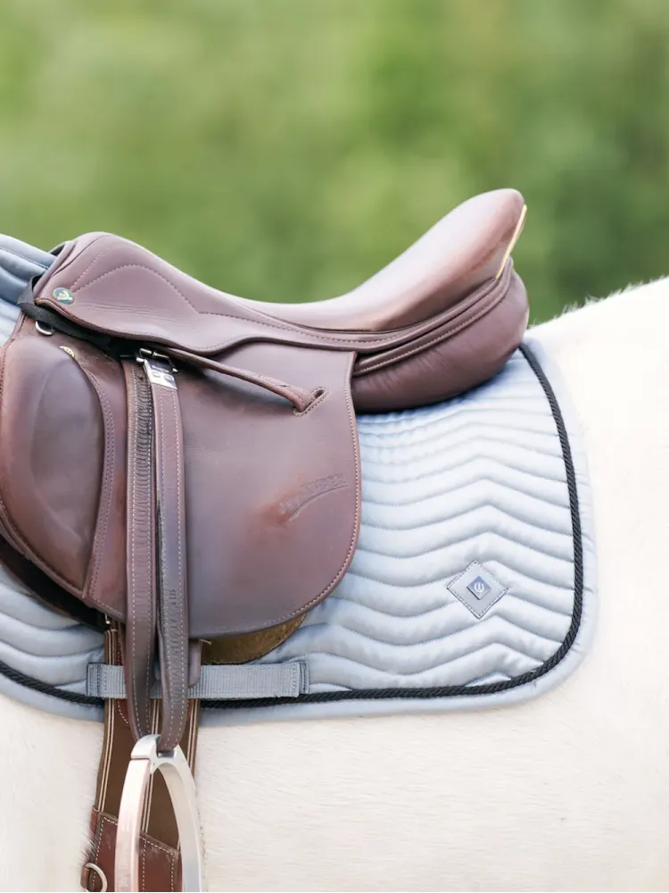 Sviedrene Rebel GP Imperial Riding