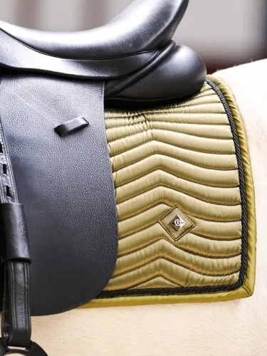 Sviedrene Rebel GP Imperial Riding